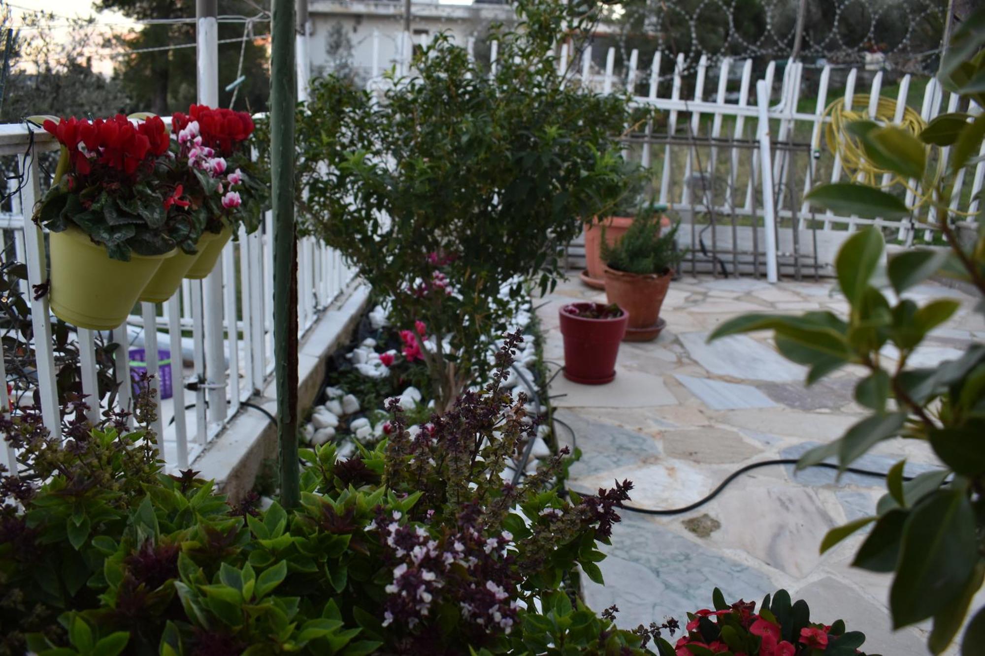 Panorama - Athens Apartment
